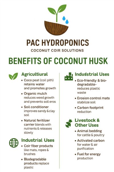 Benefit Coco Husk Benefit Coco Husk