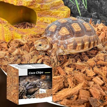 Coco Husk-1 Coco Husk-1