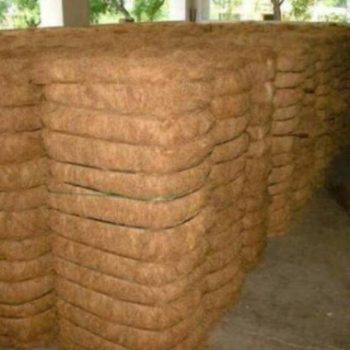 Cocofiber-1 Cocofiber-1