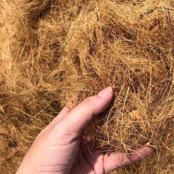 Cocofiber-2 Cocofiber-2