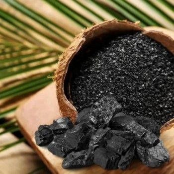 Coconut-Shell-Charcoal-1