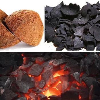 Coconut-Shell-Charcoal-2